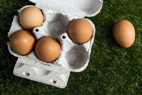jaja skażone fipronilem, fipronil, skażone jaja, skażony drób