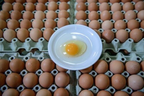 jaja skażone fipronilem, fipronil, skażone jaja, skażony drób, Paweł Niemczuk, Główny Lekarz Weterynarii