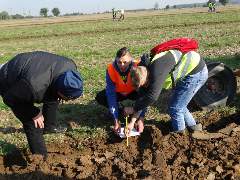 konkurs bezpiecznej orki, Głuchów