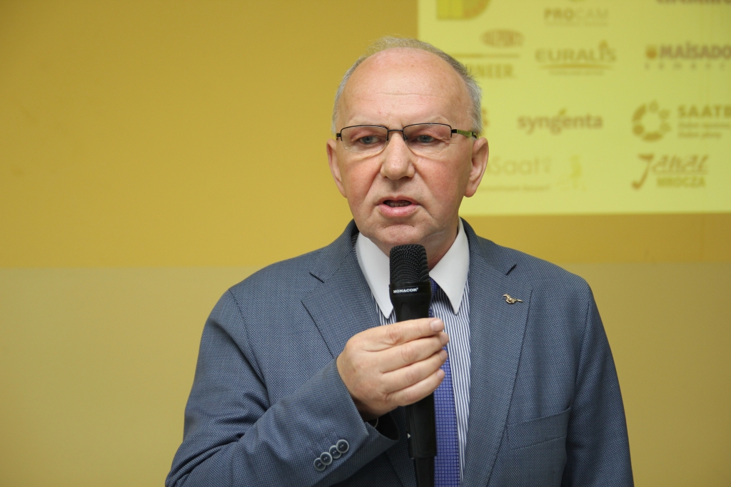 dni kukurydzy, bydło mleczne, produkcja mleka, kukurydza