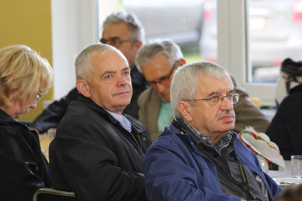 dni kukurydzy, bydło mleczne, produkcja mleka, kukurydza