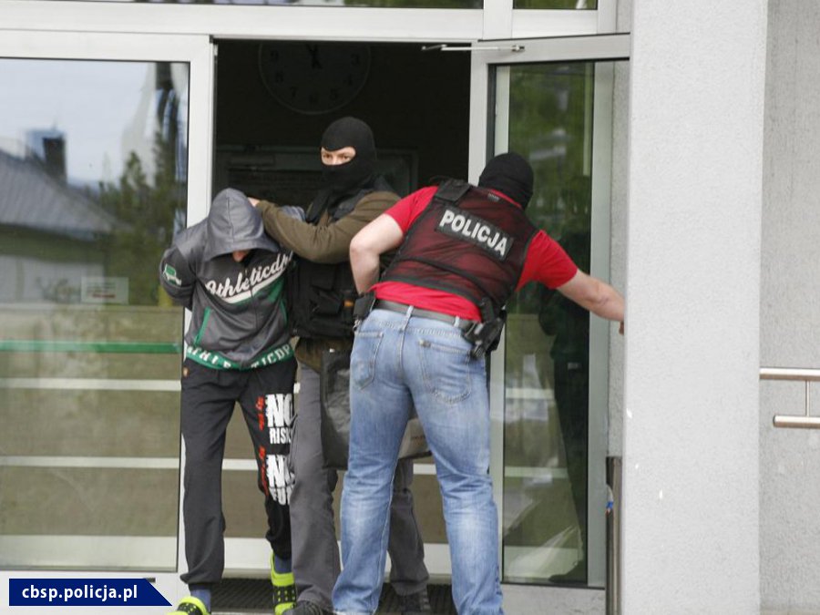 kradzież paneli fotowoltaicznych, panele fotowoltaiczne, Centralne Biuro Śledcze Policji, grupa przestępcza