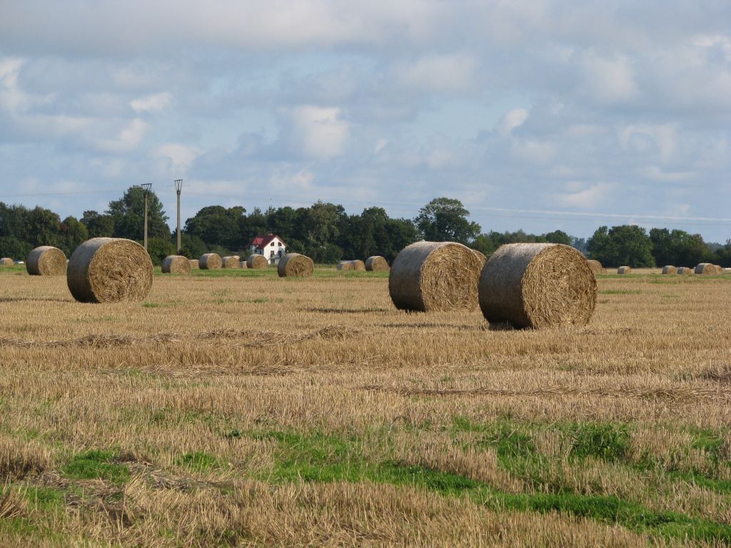 gospodarstwo, Podlasie