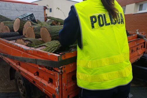 kradzież drewna, drewno, lasy, policja, nowa sól, lubuskie, przestępczość