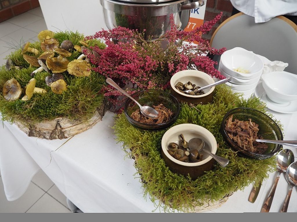 kujawy i pomorze, Przedsiębiorstwo Drobiarskie Drobex w Bydgoszczy, Zespół Szkół Gastronomiczno-Hotelarskich w Toruniu