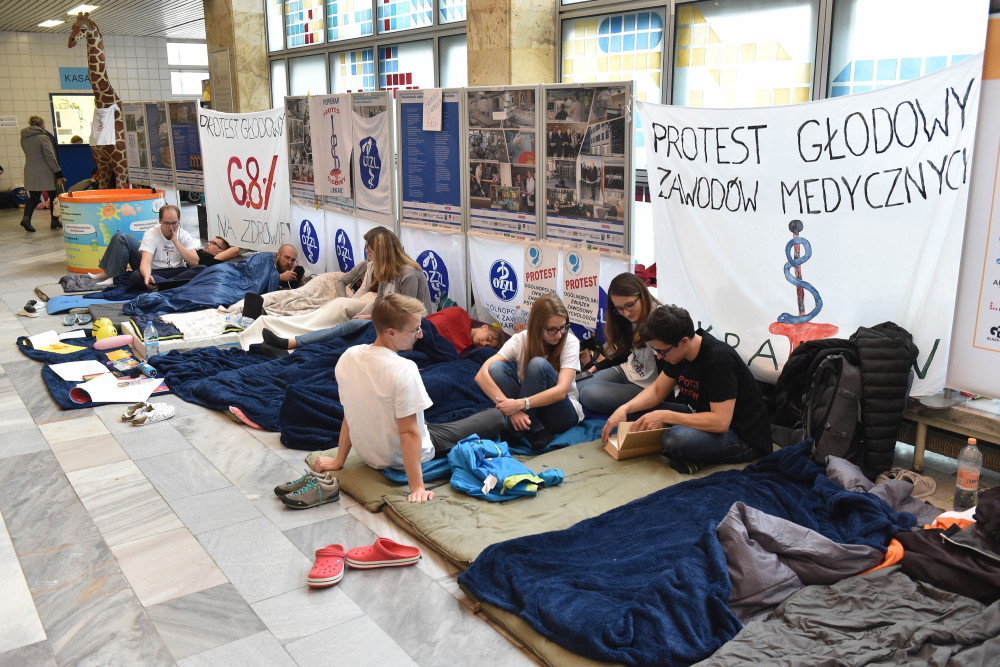 lekarze weterynarii, lekarze rezydenci, Krajowa Rada Lekarsko-Weterynaryjna, protest lekarzy rezydentów