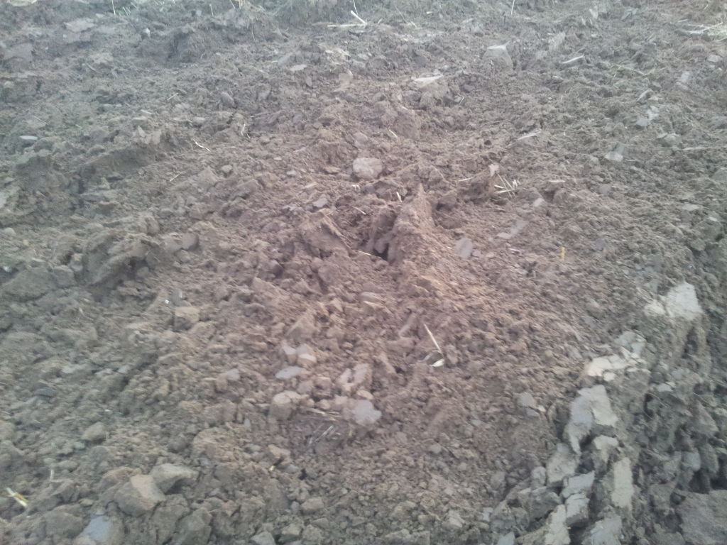 wojna w Ukrainie, Mykoła Solski, inicjatywa zbożowa, produkcja zbóż