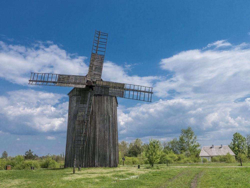 skansen, świętokrzyskie, Kto ma pszczoły, ten ma miód, miód, pszczoły