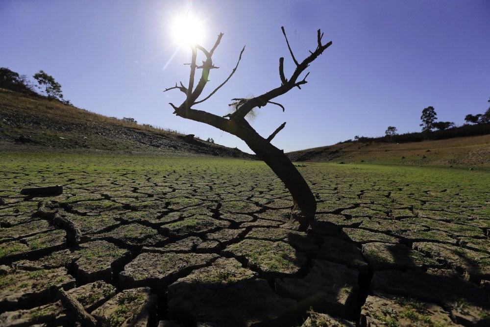 susza