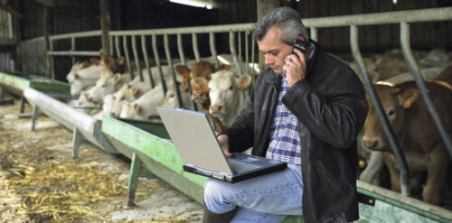 www.365FarmNet.pl, aplikacja, rolnictwo, gospodarstwo,