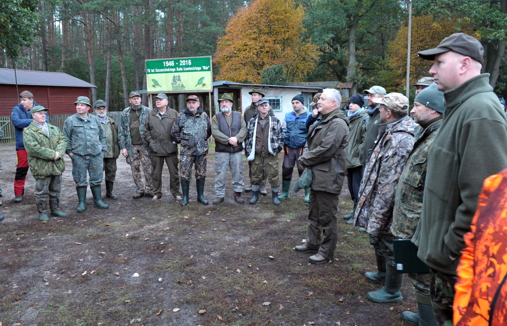szukanie padłych dzików, asf w polsce, warmia i mazury, ełk, myśliwi, wojsko
