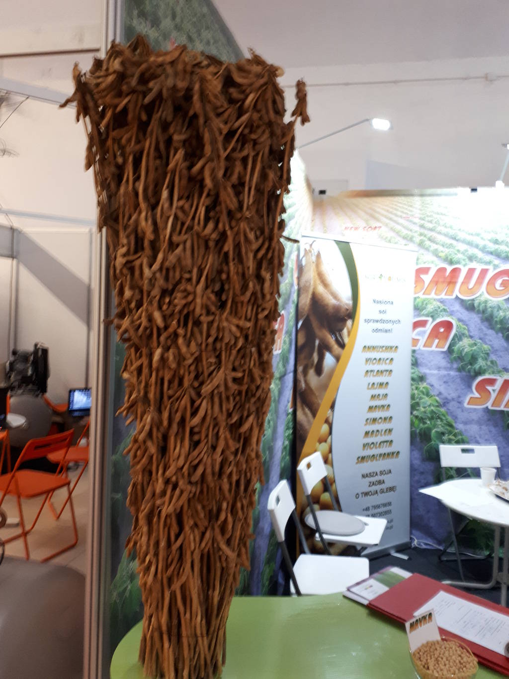agroyoumis, soja, Centralne Targi Rolnicze