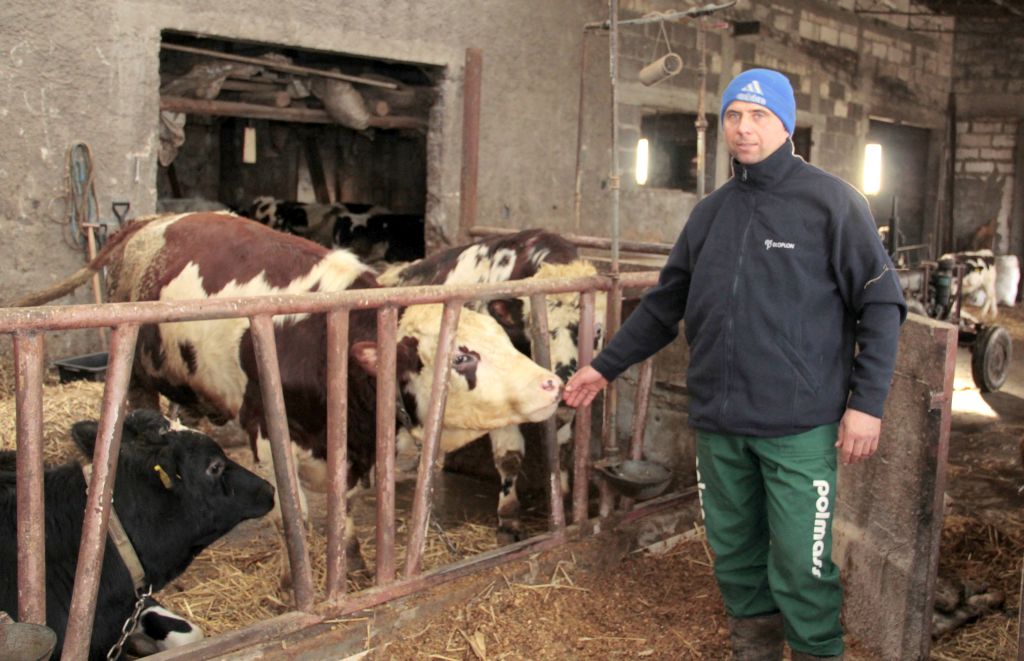 Książki leczenia stada, dokumentacja leczniczo-weterynaryjna, powiatowy lekarz weterynarii, zwierzęta hodowlane