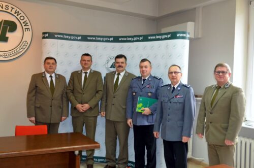 kradzież drewna, złodzieje drewna, lasy, policja, straż leśna, mazowsze