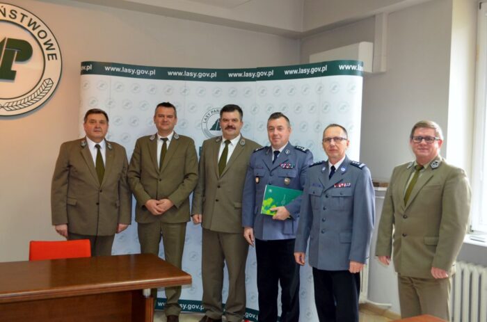 kradzież drewna, złodzieje drewna, lasy, policja, straż leśna, mazowsze