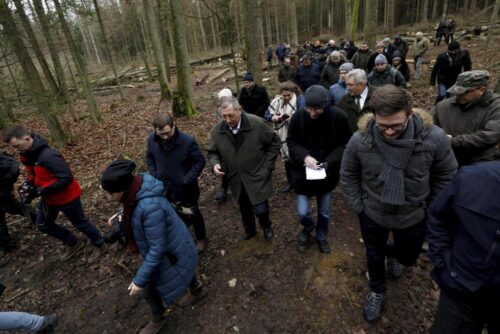 puszcza białowieska, wycinka puszczy białowieskiej, jan szyszko, ministerstwo środowiska, komisja europejska