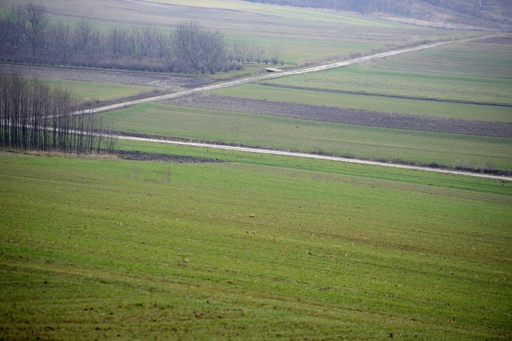 obrót ziemią w Polsce, ustawa o kształtowaniu ustroju rolnego, kupno ziemi, dzierżawa ziemi