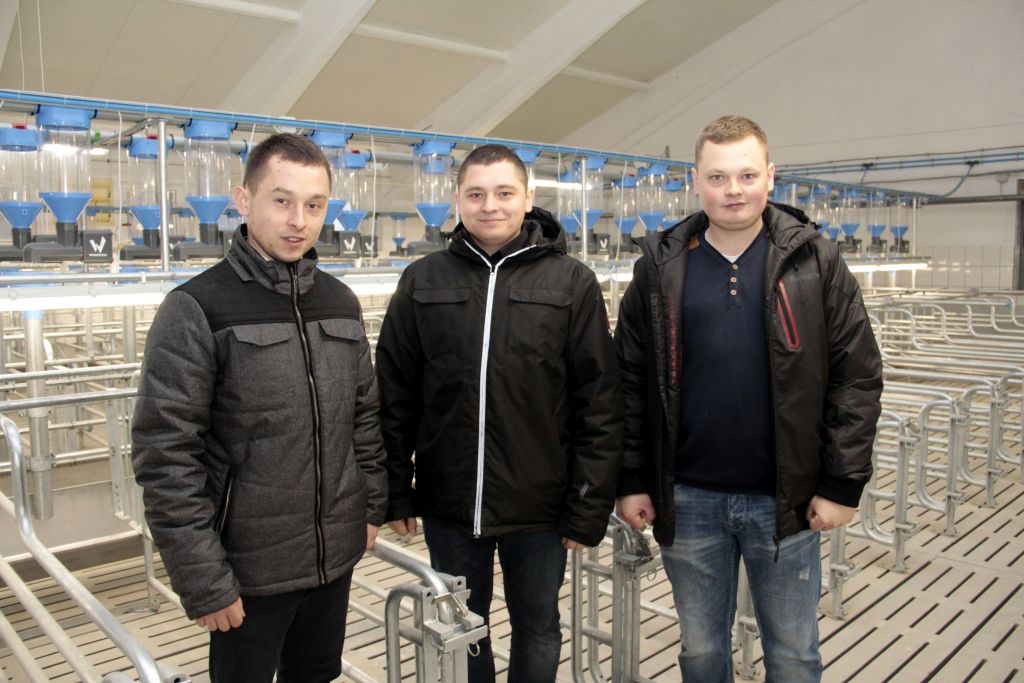 chlewnia, Wesstron, lochy, indywidualne żywienie