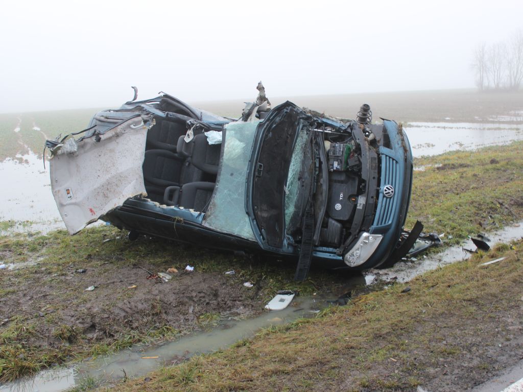Kolonia Boćki, powiat bielski, podlasie, transport, brojlery na drodze