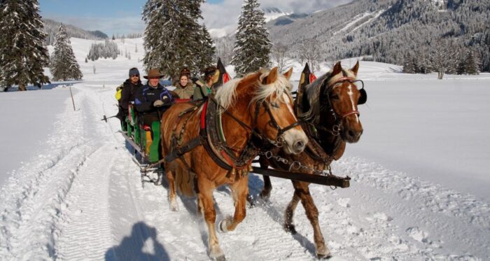 zakopane, morskie oko, powóz konny, koń, furman, znęcanie się nad zwierzętami