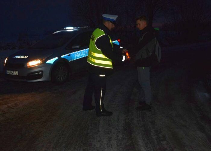 wypadek policja, mandat, brak elementów odblaskowych na drodze, piesi