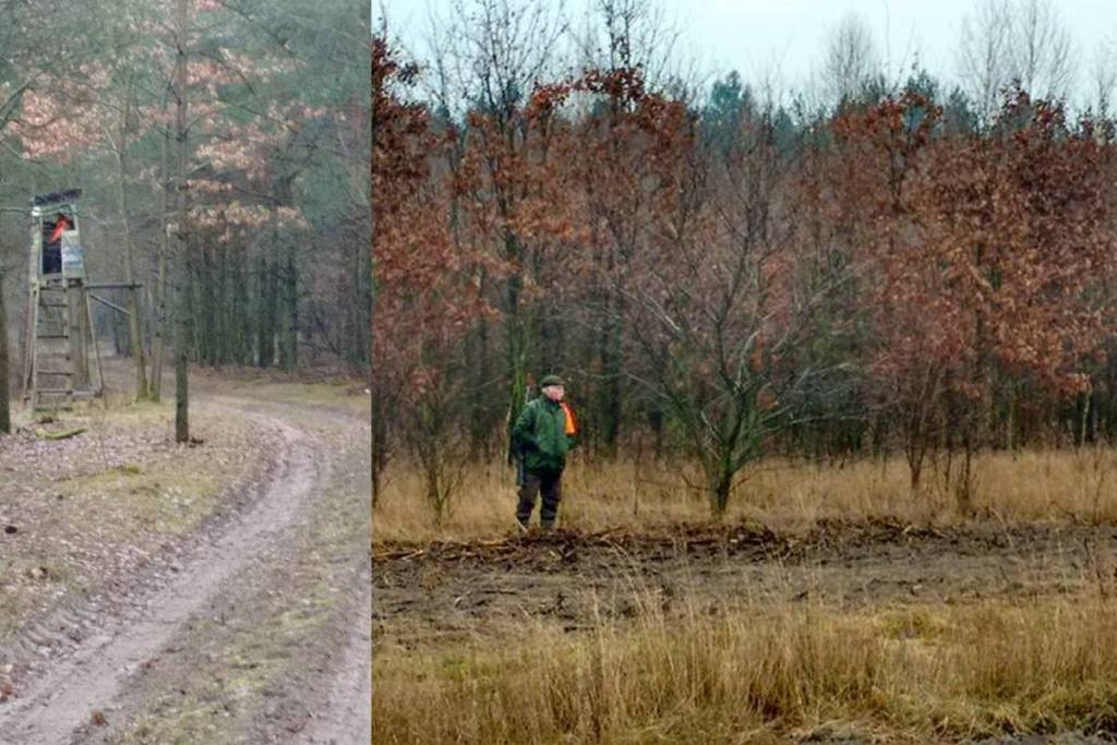 polowanie, myśliwi, Lublin Przeciw Myśliwym, polowanie pod Parczewem, lubelskie