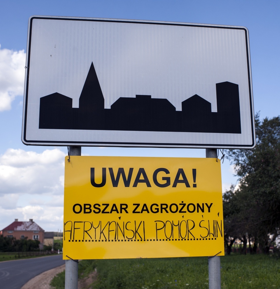 walka z asf w polsce, asf w polsce, budowa płotu na granicy, podlasie, sejmik województwa podlaskiego