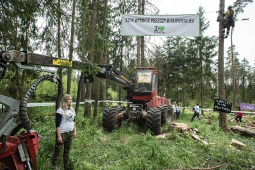 puszcza białowieska, podział puszczy białowieskiej, henryk kowalczyk, ministerstwo środowiska, zasady polowań zbiorowych
