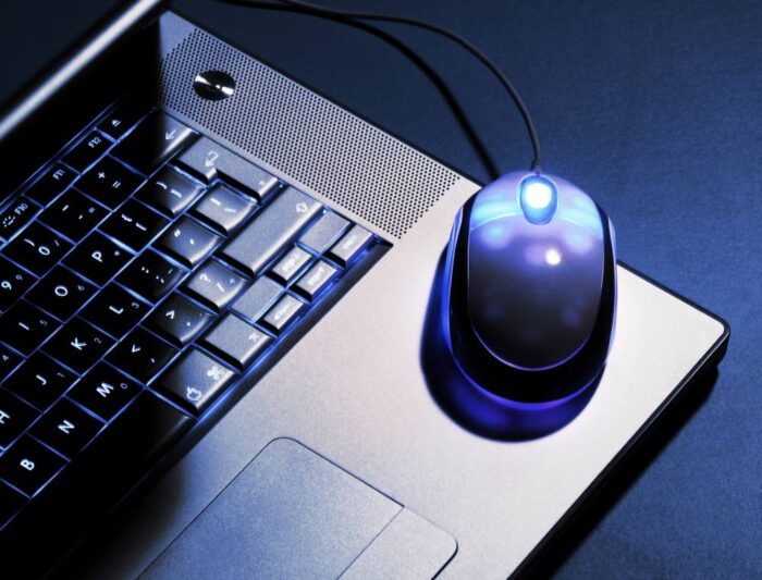 dopłaty, wnioski o dopłaty przez internet, ARiMR, pieniądze, internet