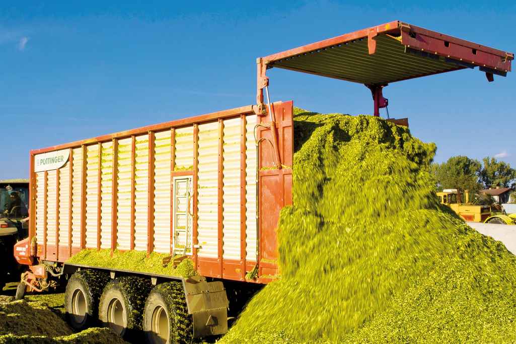 Jumbo combiline 10010