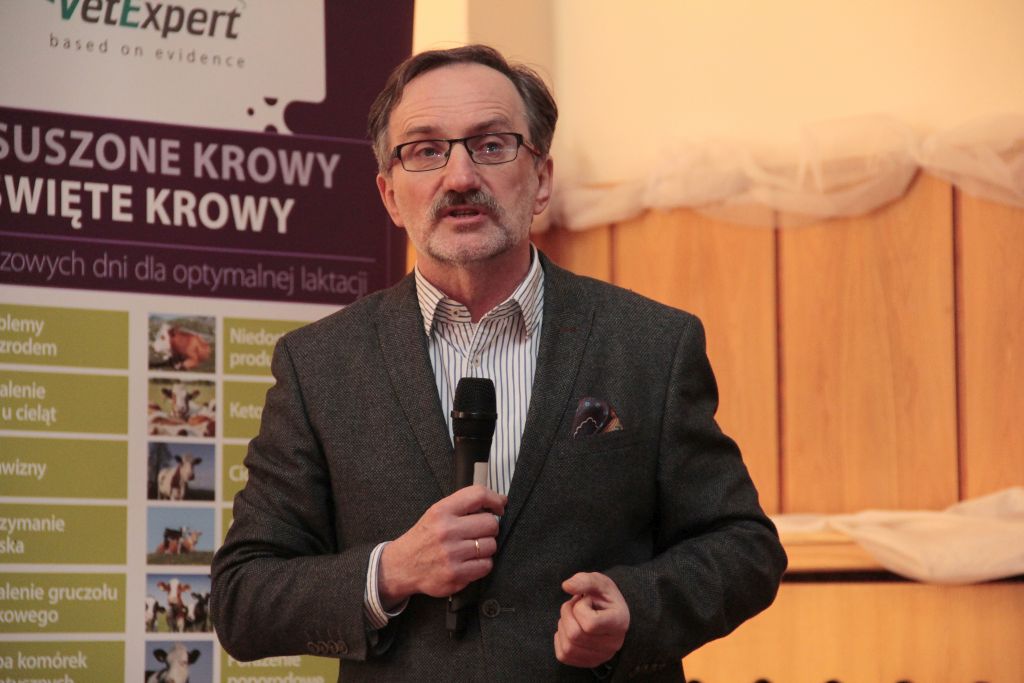 święto krowy, odchów cieląt, siara, hodowcy,