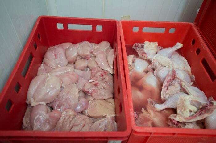produkcja drobiu, rynek mięsa, komisja europejska