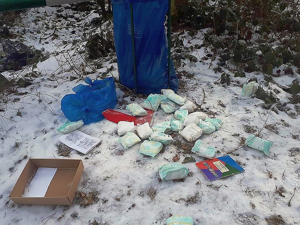 lasy państwowe, sprzątanie lasów, wywóz śmieci z lasów, kłusownictwo, kradzież drewna