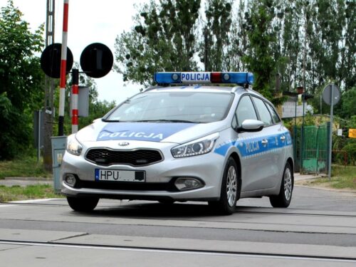znęcanie się nad zwierzętami, łódź, zabicie psa, gmina zamość, lubelszczyzna, policja