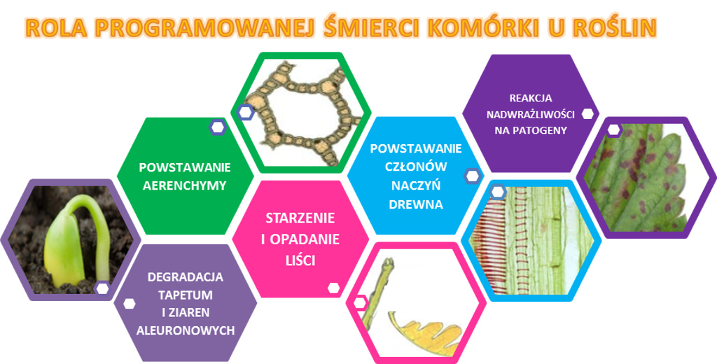 Pompa ciepła schemat ideowy