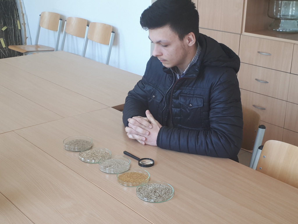 OWiUR, eliminacje okręgowe, SGGW