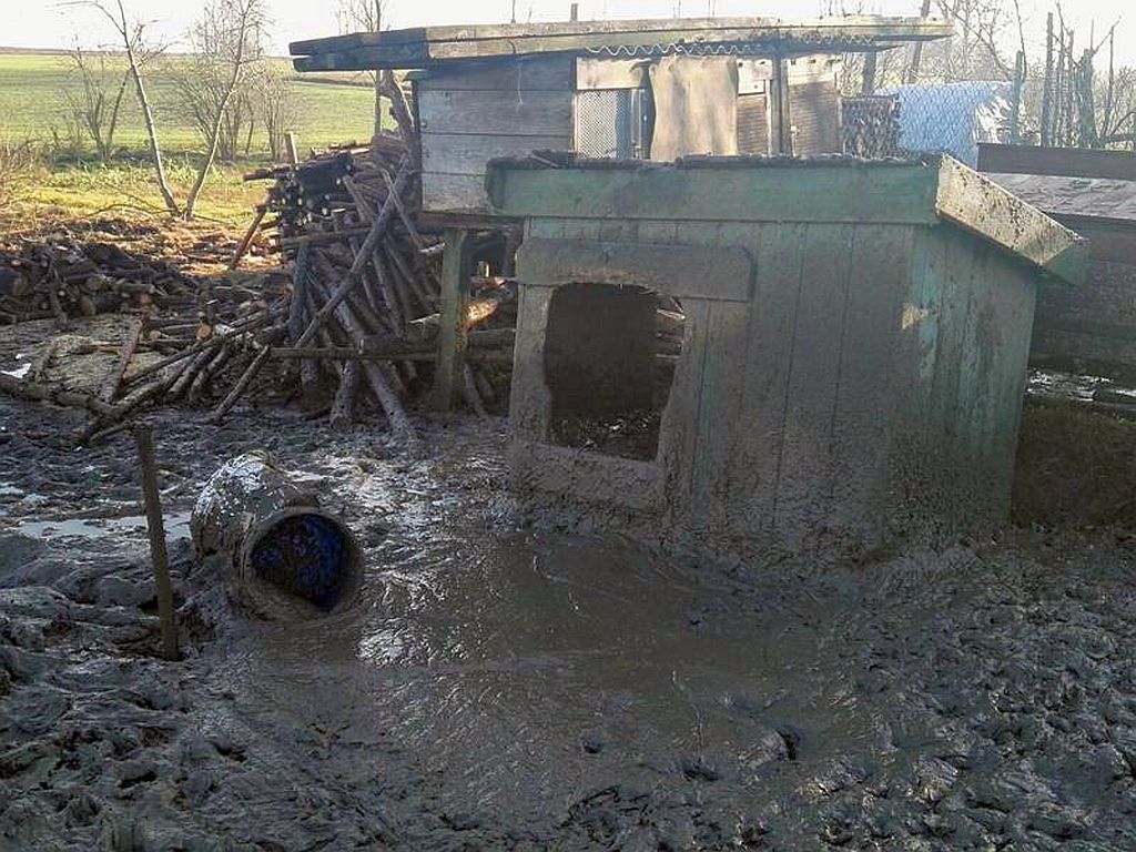 Werkowo, powiat wągrowiecki, wielkopolska, Towarzystwo Opieki Nad Zwierzętami, schronisko dla psów