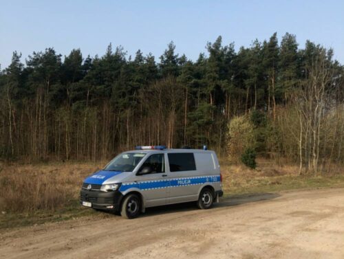 pożar, Iława, policja, mandat, podpalenie łąki, zaprószenie ognia