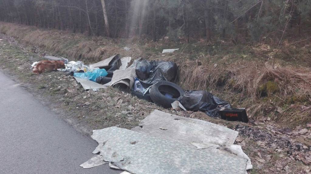 mandat za wyrzucenie śmieci w lesie, policja, mandat, wykroczenie, śmieci w lesie