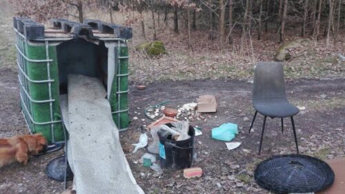 mandat za wyrzucenie śmieci w lesie, policja, mandat, wykroczenie, śmieci w lesie