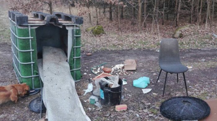 mandat za wyrzucenie śmieci w lesie, policja, mandat, wykroczenie, śmieci w lesie