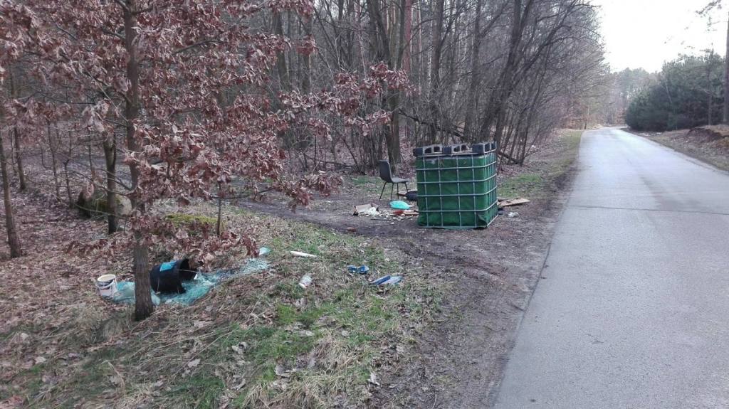 mandat za wyrzucenie śmieci w lesie, policja, mandat, wykroczenie, śmieci w lesie