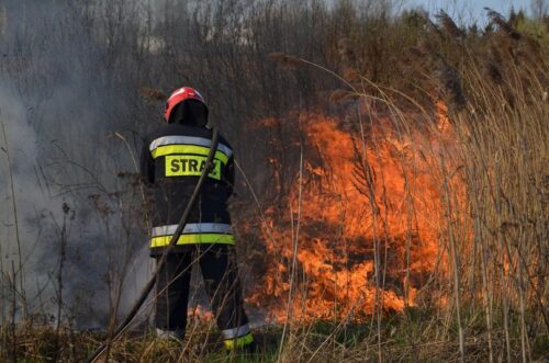 wypalanie traw, straż pożarna, wypalanie traw jest zabronione, prawo, mandat za wypalenia traw