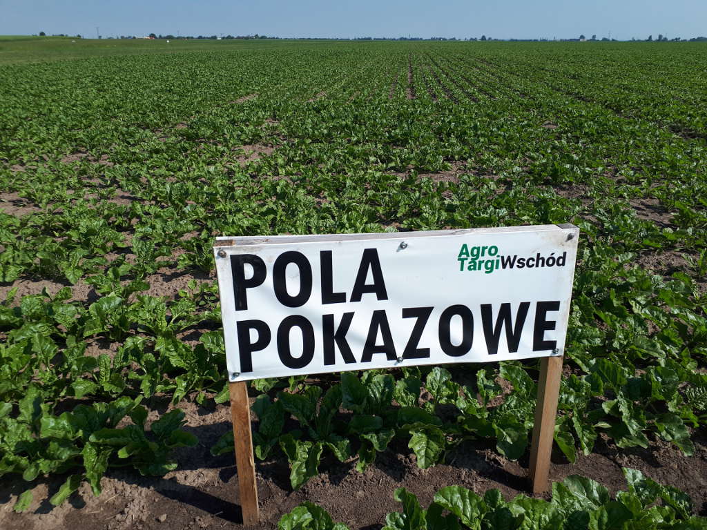 Agro Targi Wschód, Skołoszów