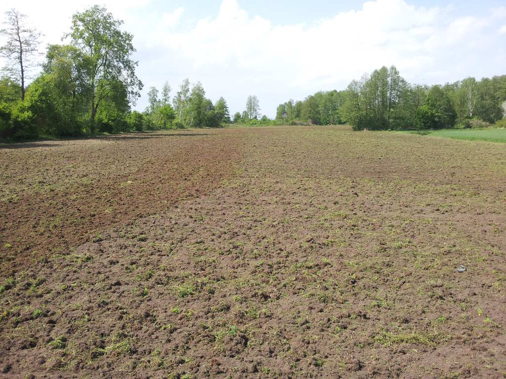 łąka, powiat makowski
