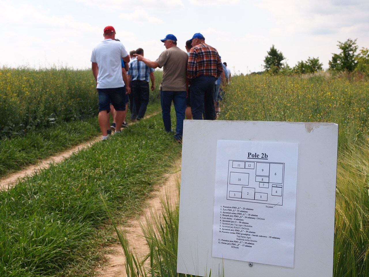 Głubczyce, Dzień Farnera 2018, SDOO Głubczyce, firma Farmer, uprawa, opolskie