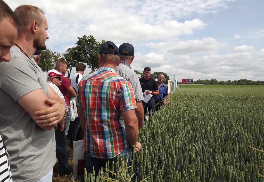 Phytobac, Bayer, Dni Pola Bayer w Strzeszkowicach Dużych, uprawa