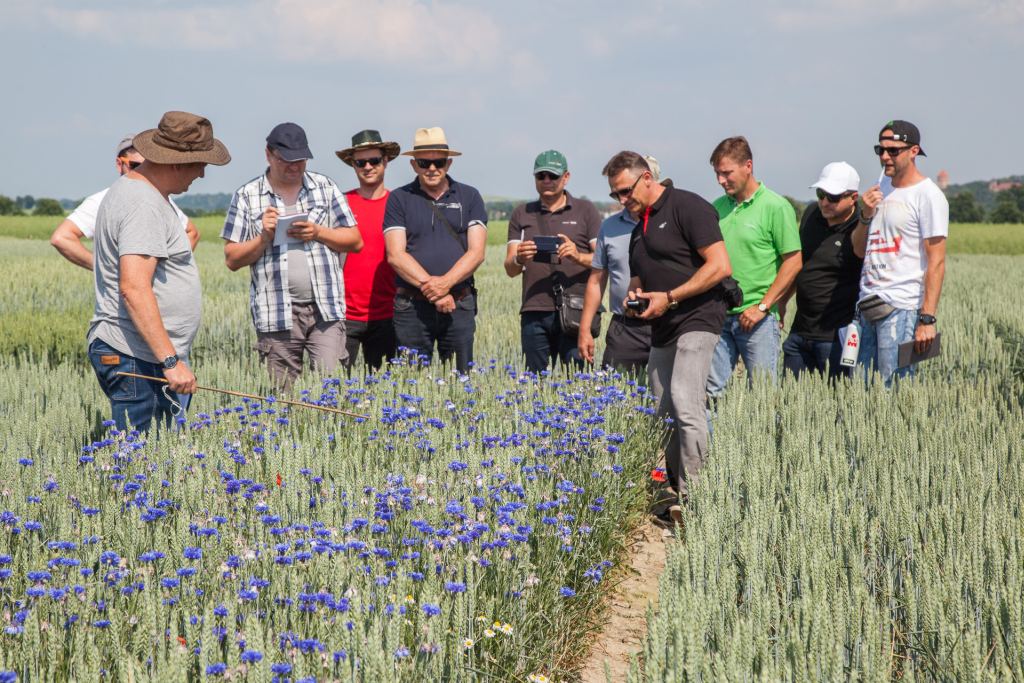 Innvigo, Dni Pola 2018 Innvigo, rolnictwo, Dni Pola, cykl spotkań polowych