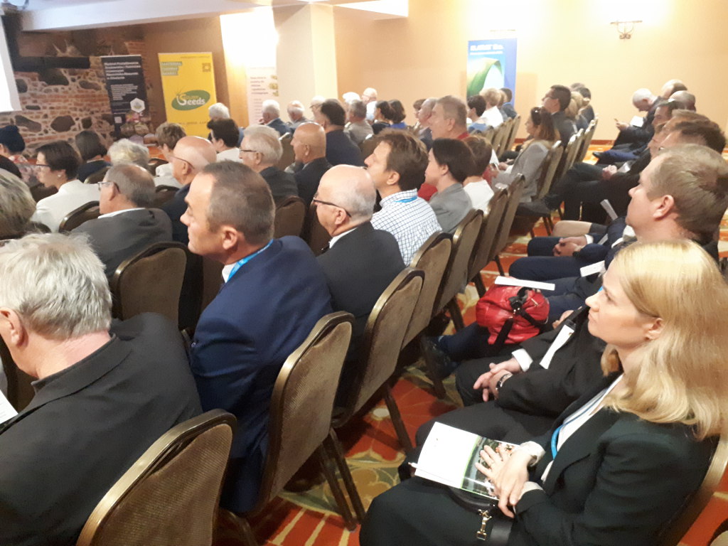 konferencja, Ryn