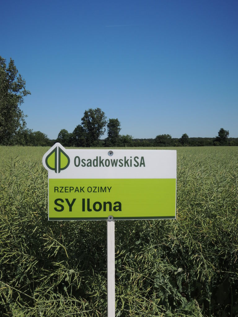 Osadkowski, Jakubowice, Zielone Pola 2018, Osadkowski SA, Żebyś wiedział, Przegląd odmian i technologii upraw